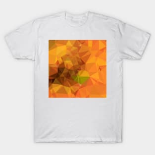 Deep Carrot Orange Abstract Low Polygon Background T-Shirt